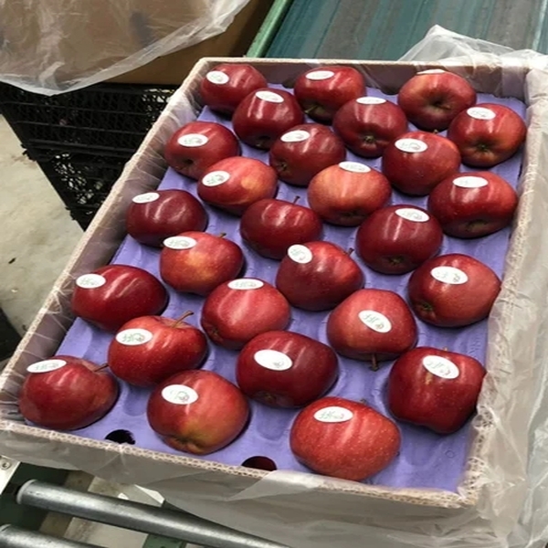 imported Apple washington