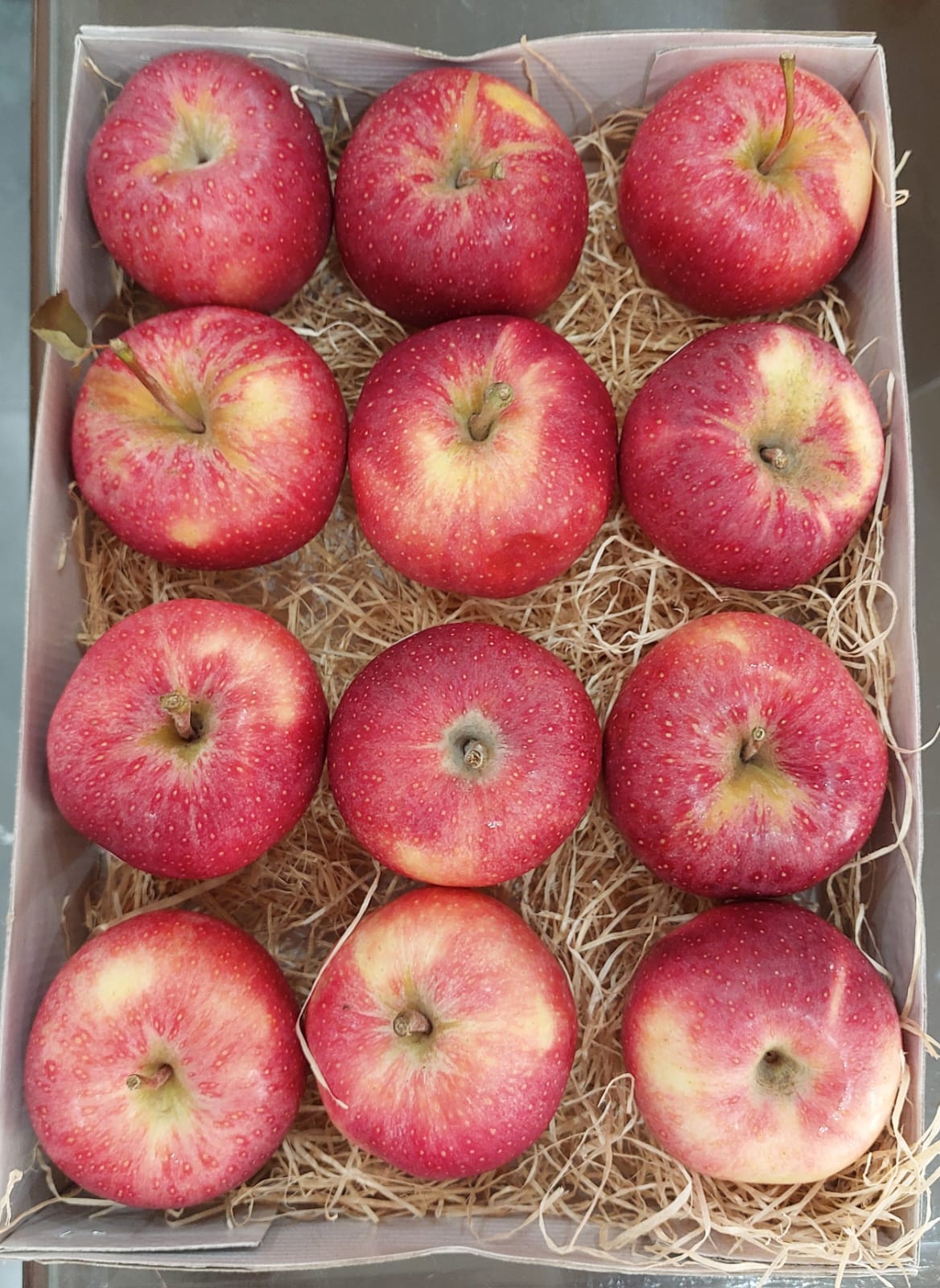 ROYAL GALA APPLE indian